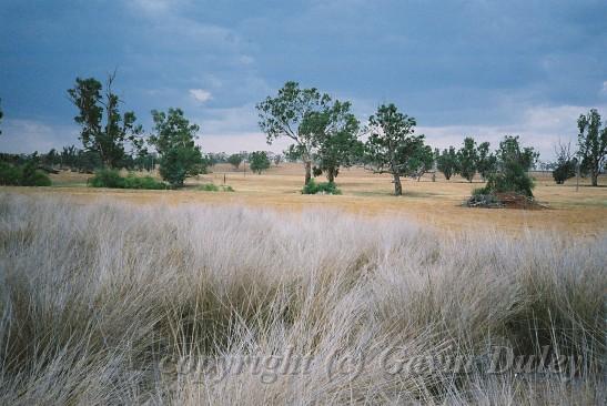 New England landscape.jpg